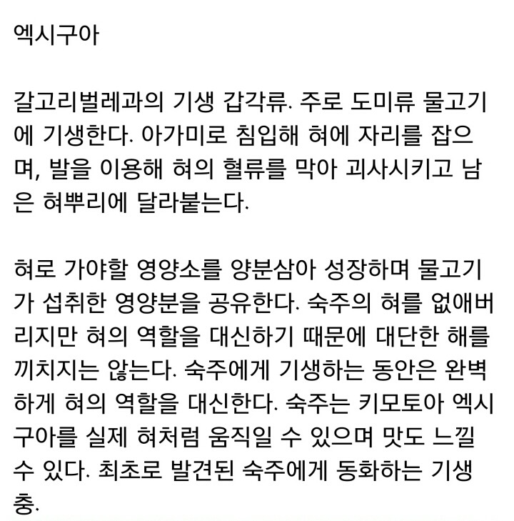 물고기 기생충 시모토아 엑시구아 (혐오주의) | 인스티즈