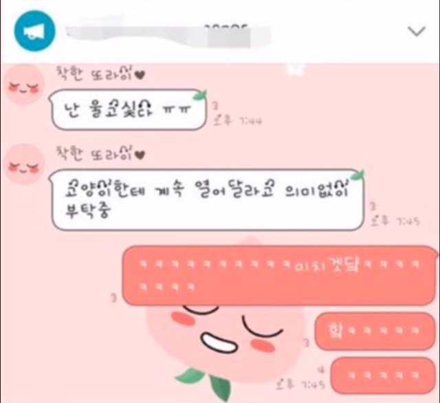 고양이가 문잠궈서 못들어가고있어요ㅜㅜ | 인스티즈