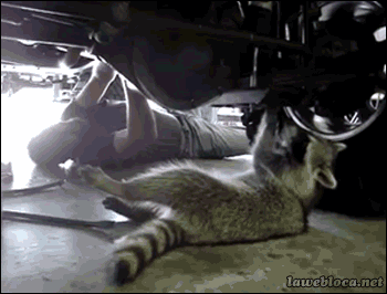 어디서 본건 있어가지고 .gif | 인스티즈
