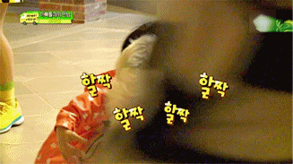 [아빠어디가] 동물이란 동물은 다 좋아하는 것 같은 민율이ㅋㅋ (아기♥동물=힐링) | 인스티즈