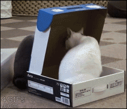 사도세냥.gif | 인스티즈