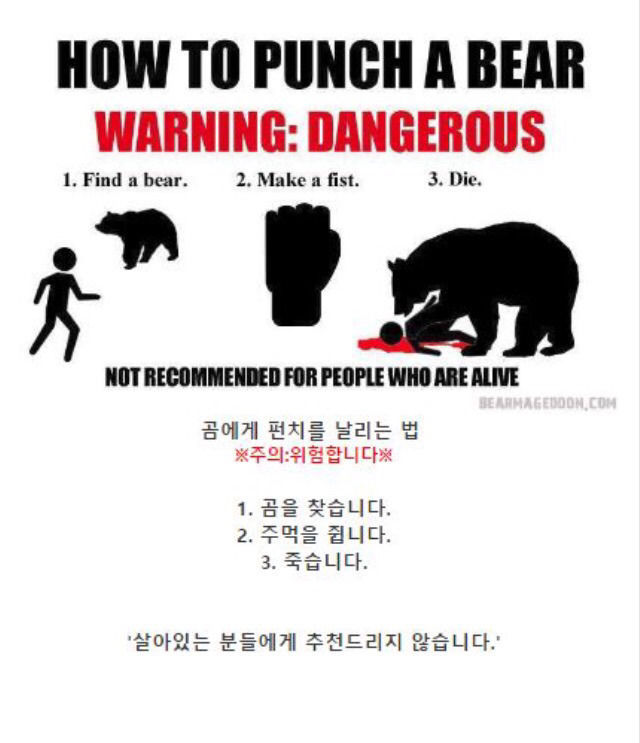 곰에게 공격당했을 때 살아남는 팁 | 인스티즈
