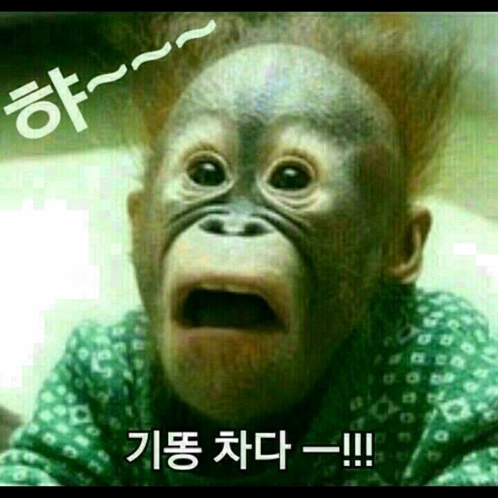 귀재 이미지