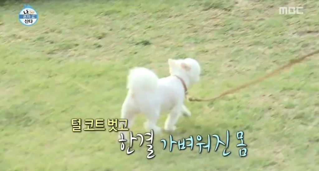 순심이 이미지