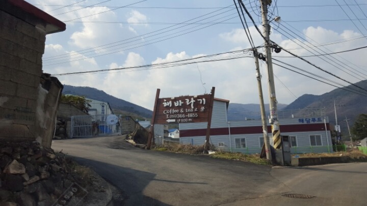 해바라기카페 이미지