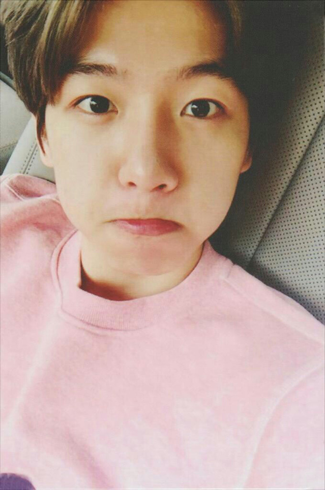 마메루 이미지