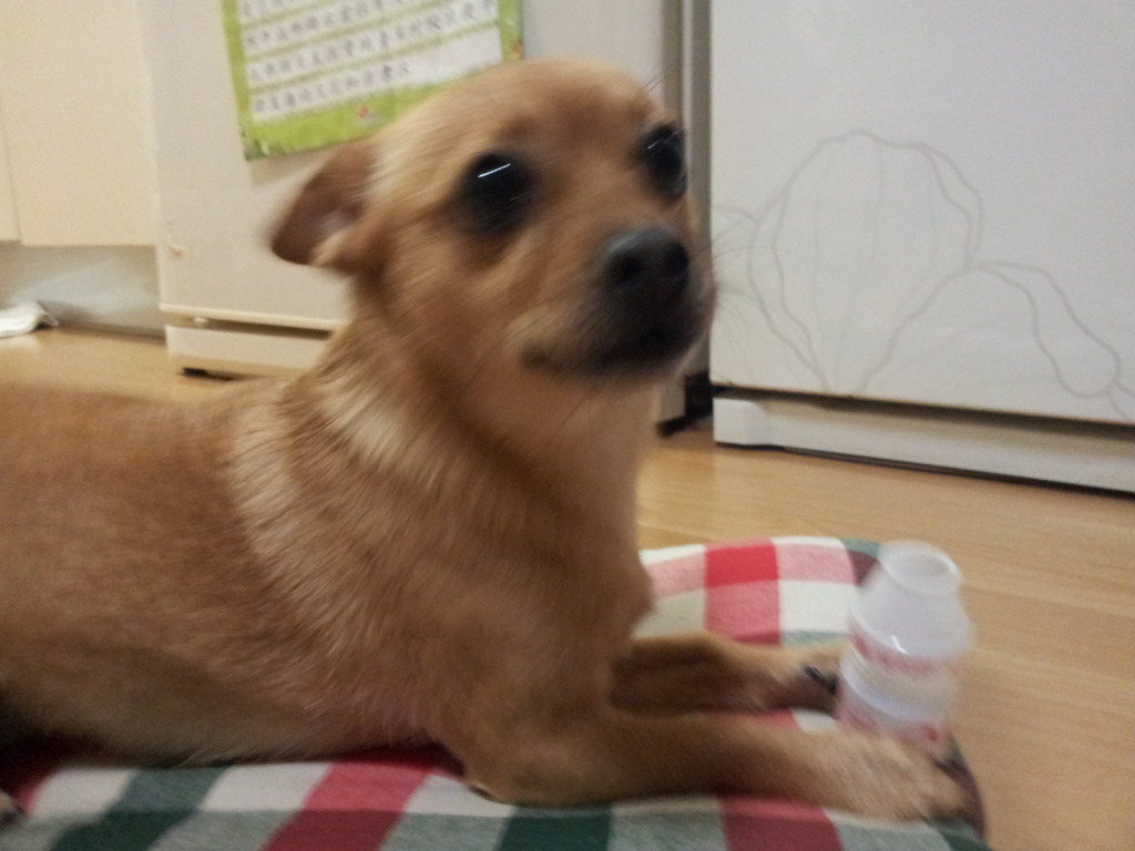 (주)루킨 이미지