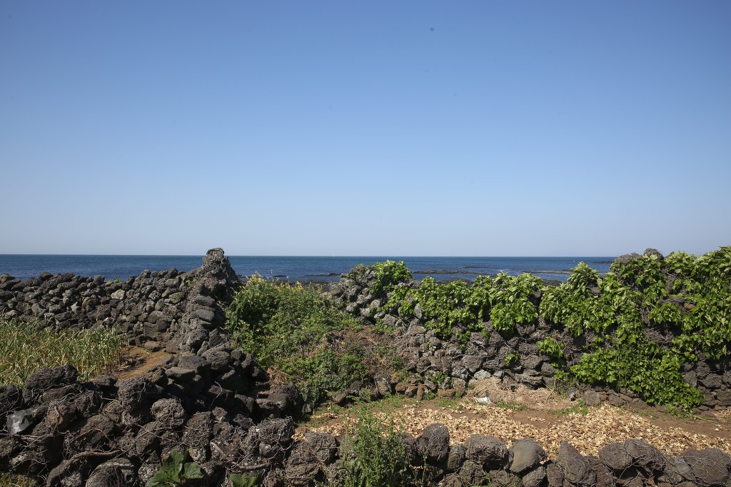 제주돌담 이미지