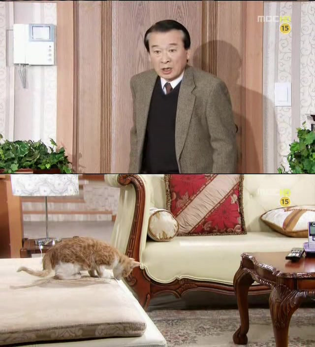[지붕킥] 사라진 순재의 약혼반지 | 인스티즈