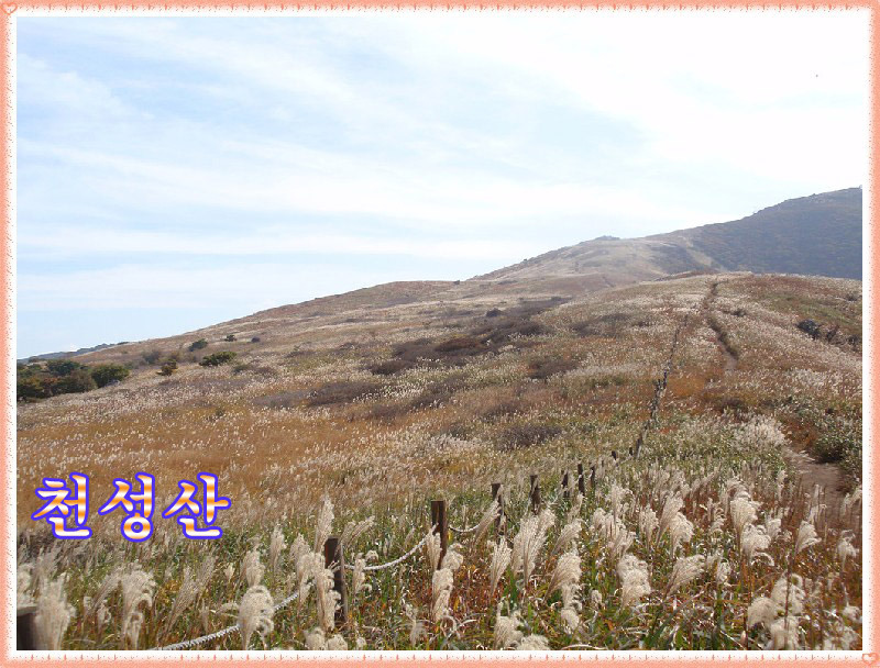 천성산 이미지