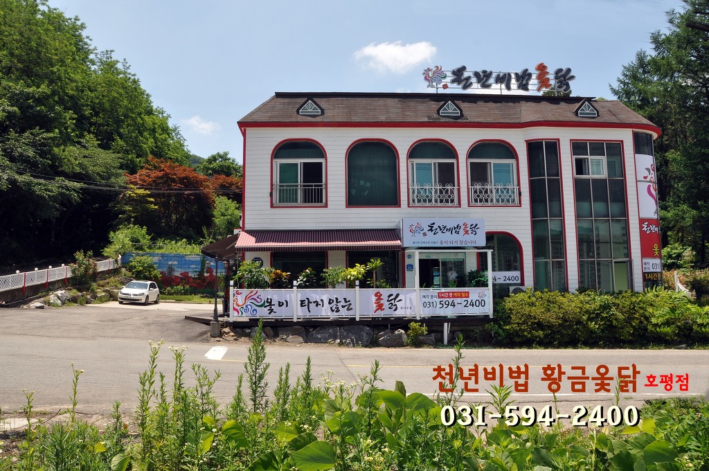 천년비법 옻닭 이미지