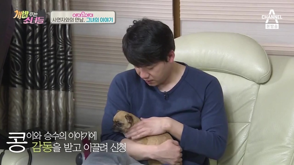 반려견 떠나보내는 암 말기 환자 ㅠㅠㅠ | 인스티즈