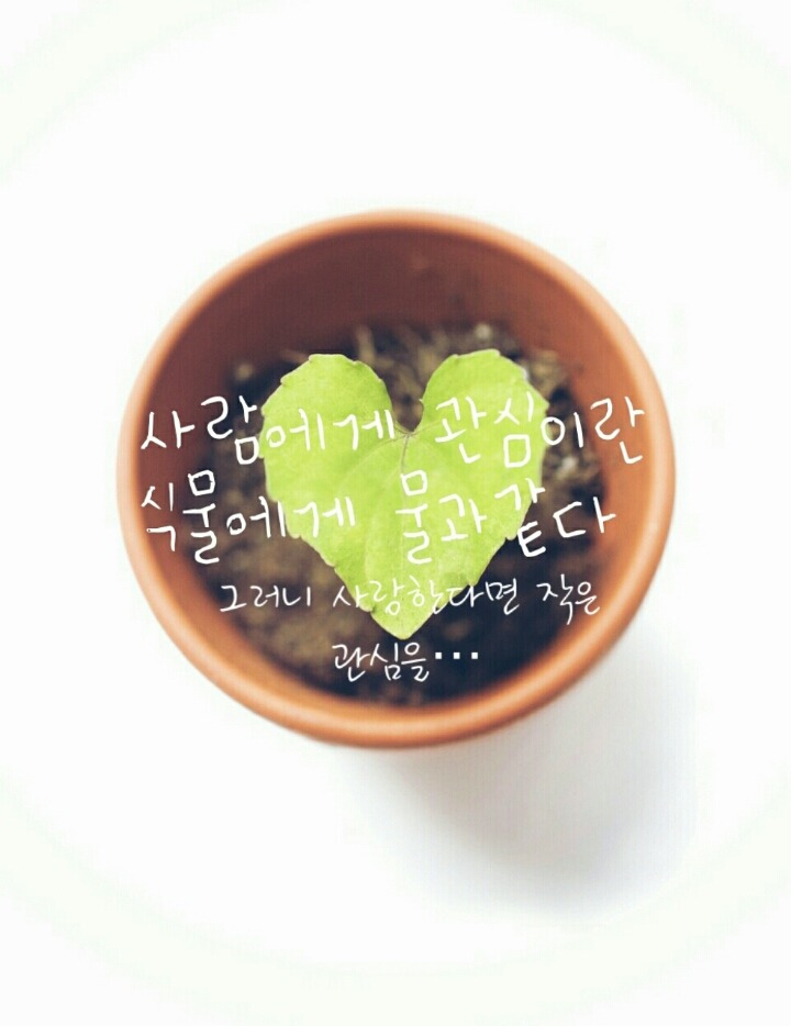 풀코스 이미지