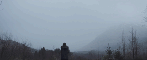 난다 고래?.gif | 인스티즈