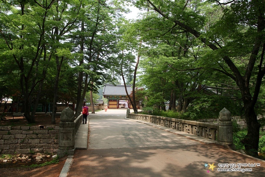 초아랑 보은 법주사 가고 싶다 | 인스티즈
