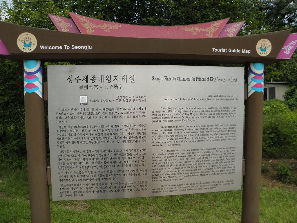 금성석물 이미지