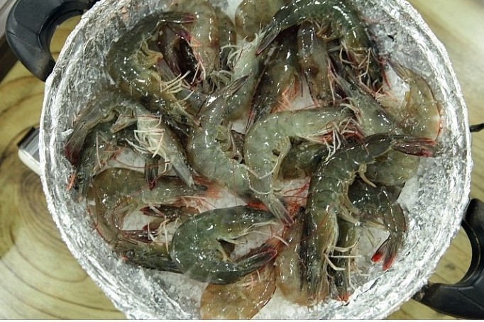 백사장펜션 이미지