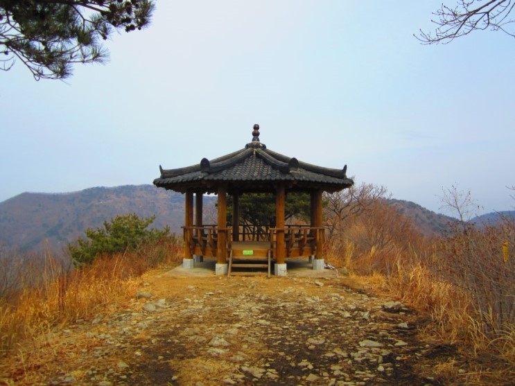 옥산초등학교 이미지