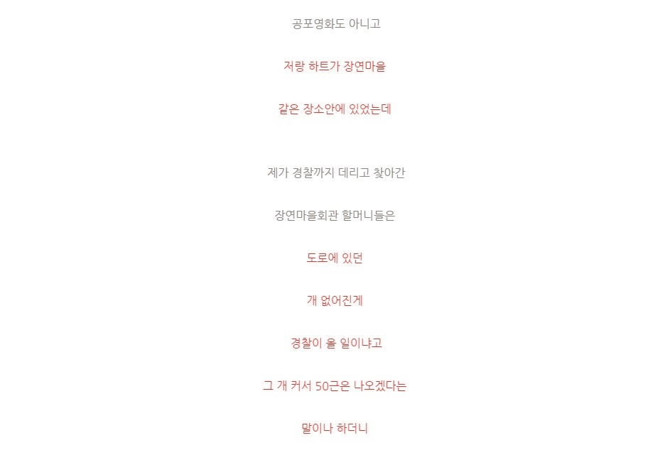 잃어버린 강아지를 누가 잡아먹음 | 인스티즈