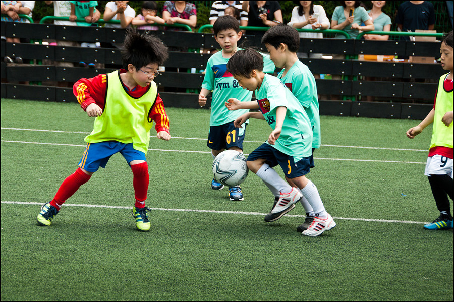 태릉초등학교 이미지