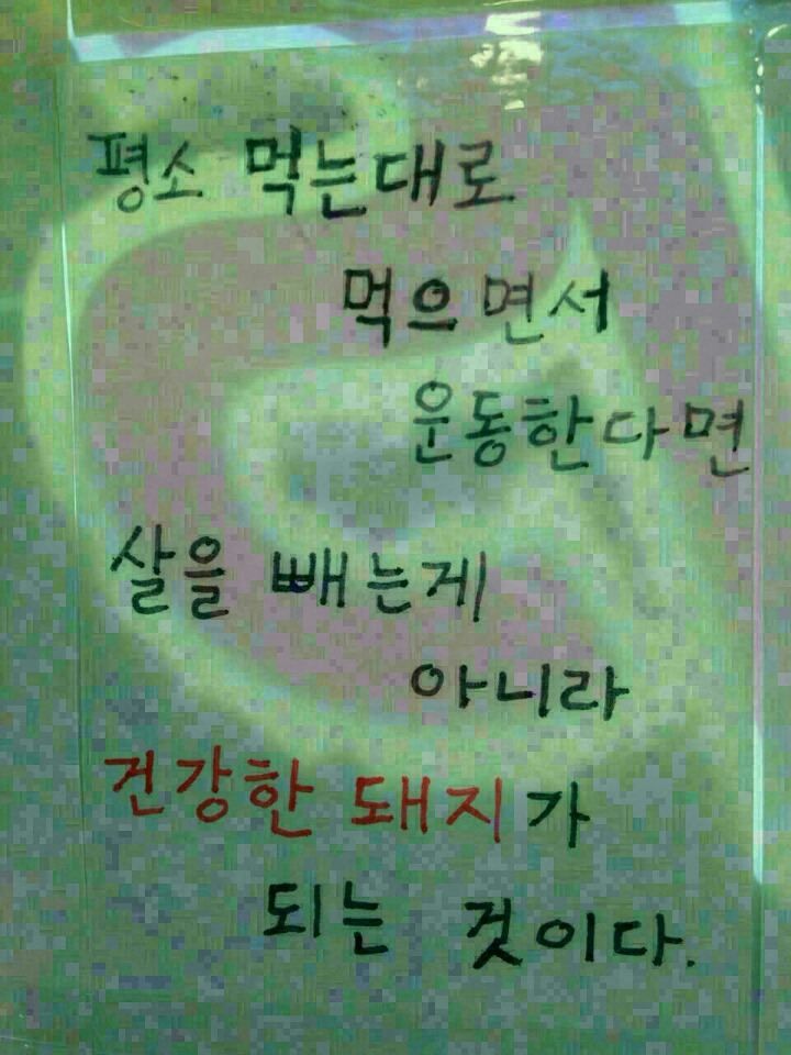 참와이 이미지