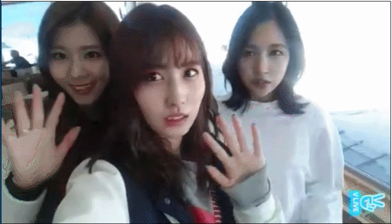 모모와 사나 | 인스티즈