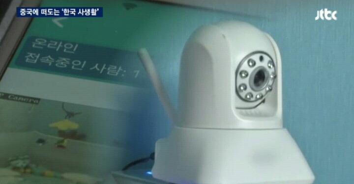 반려동물이나 아이를 위해 설치한 ip카메라가 저절로 움직이지 않으십니까?.jpg | 인스티즈