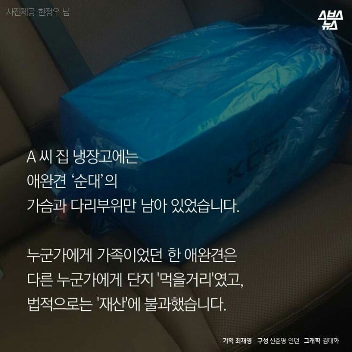 제 강아지가 잡아 먹혔습니다.jpg | 인스티즈