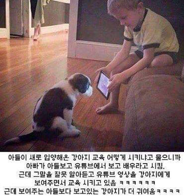 입양한 강아지를 교육하는 아이 | 인스티즈