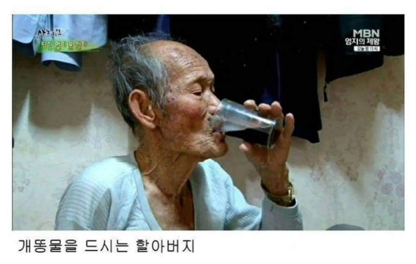 충격과 공포의 민간요법 | 인스티즈