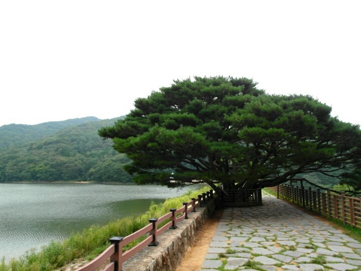 양산법기수원지 | 인스티즈