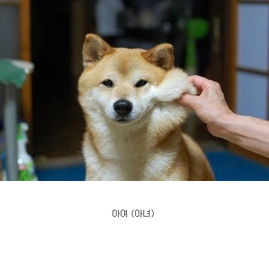 공감치과 이미지