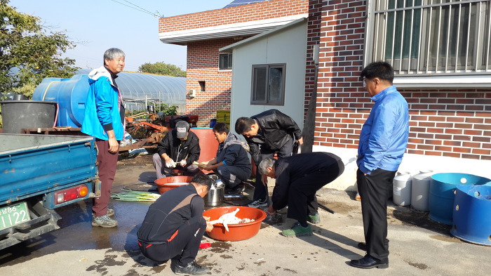 머리자랑 이미지