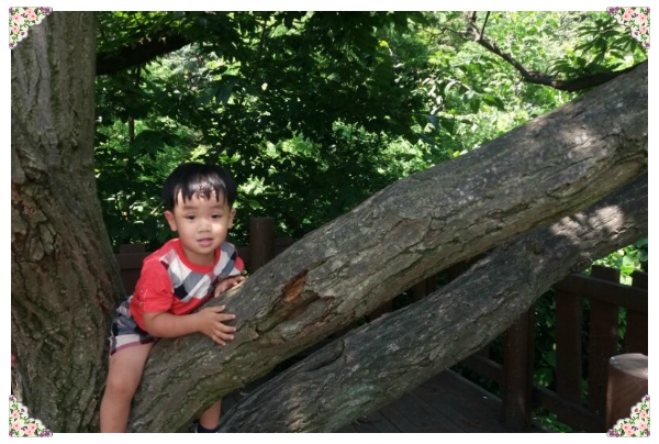 산울림 유아숲체험원 이미지