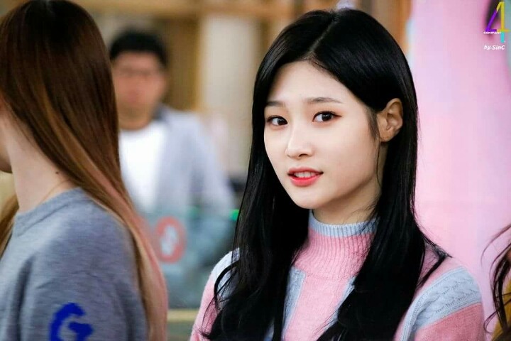 팬사 이미지