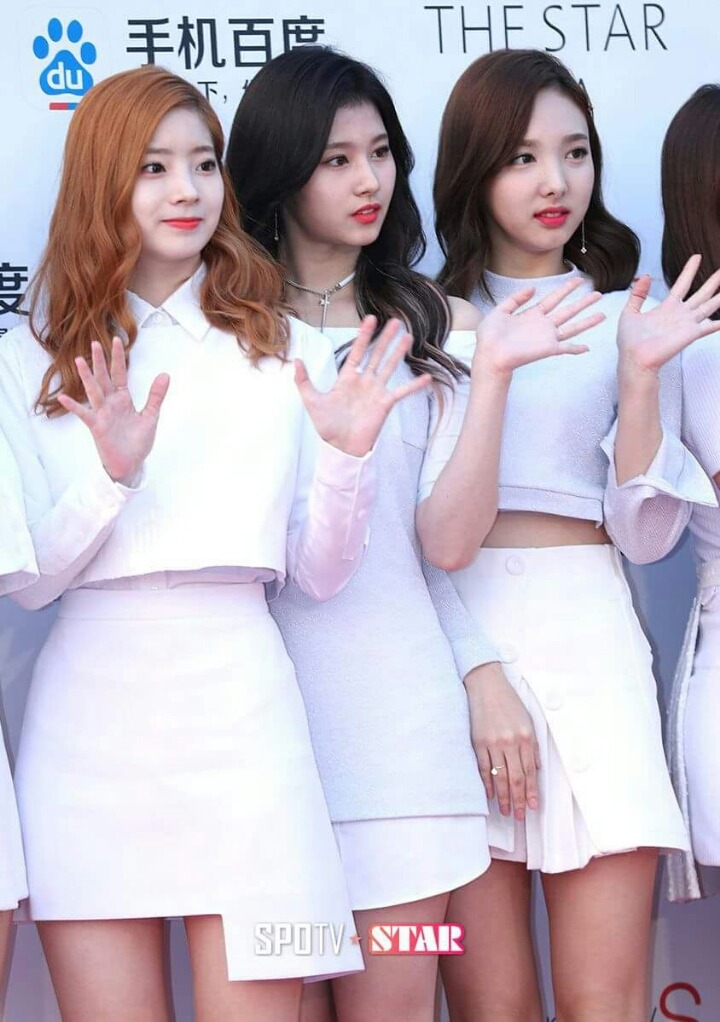 사나 시나 | 인스티즈