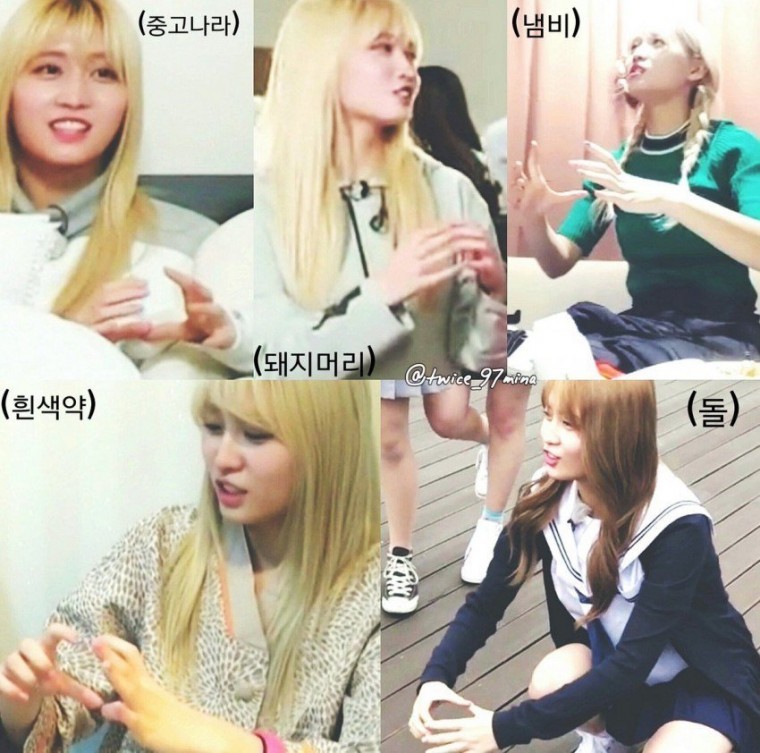 모모가 뭔가를 설명할때 하는 행동.jpg | 인스티즈