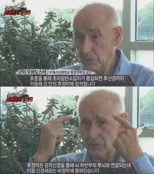 미세먼지의 위험성 | 인스티즈