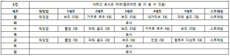 턱걸이 초보도 50개 올리는 프로그램 | 인스티즈