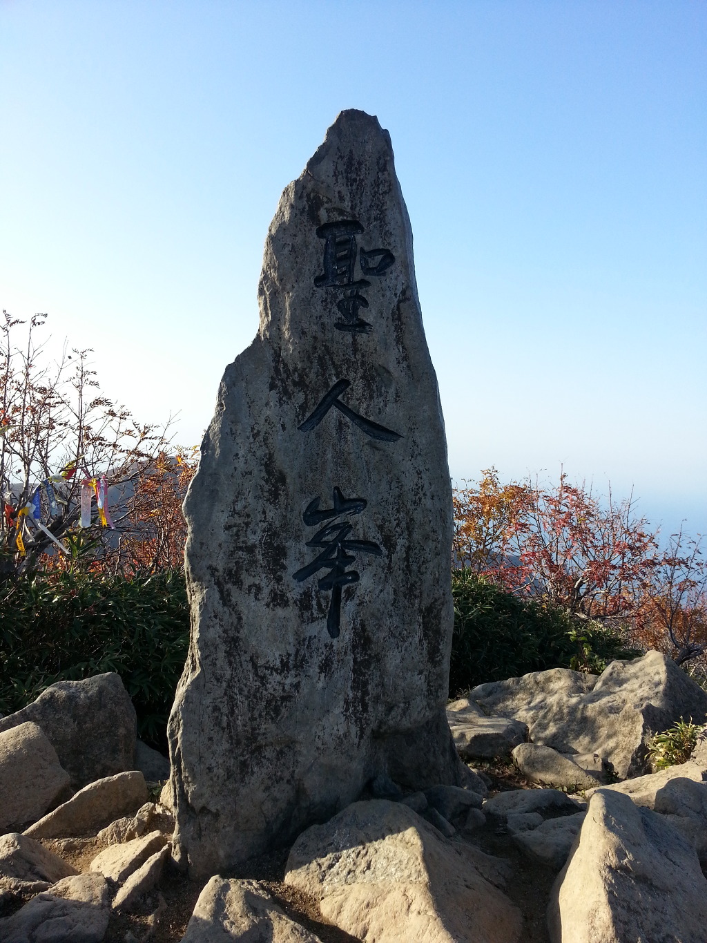 타이거볼링 이미지