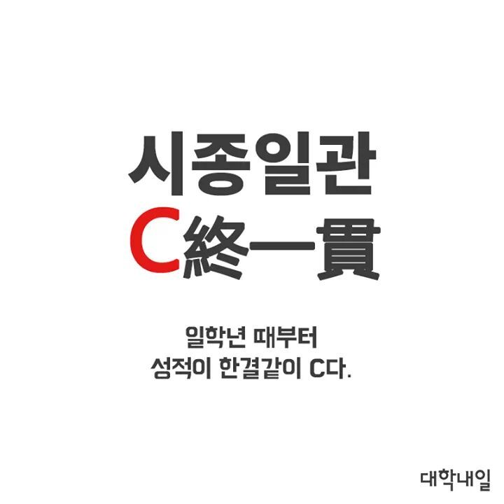 대학생 사자성어 | 인스티즈