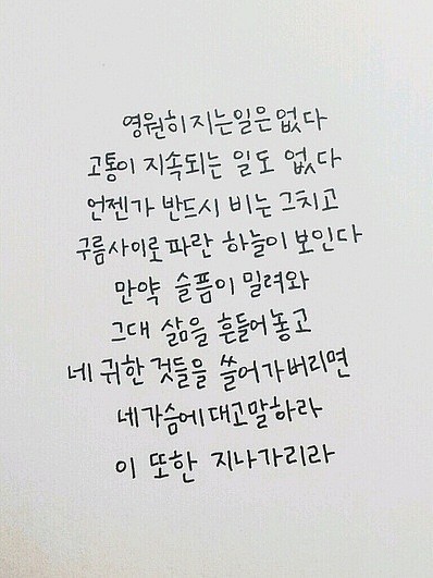 사랑님 이미지