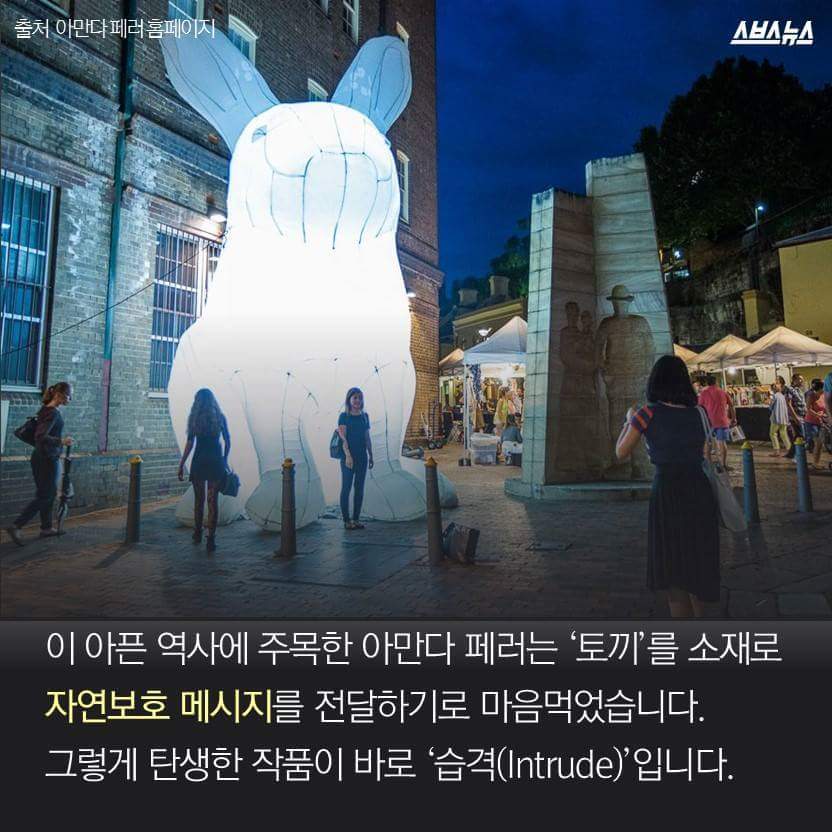 한국을 습격한 거대 토끼 | 인스티즈