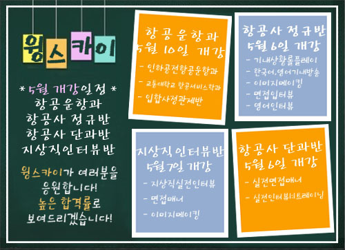 스카이윙 이미지