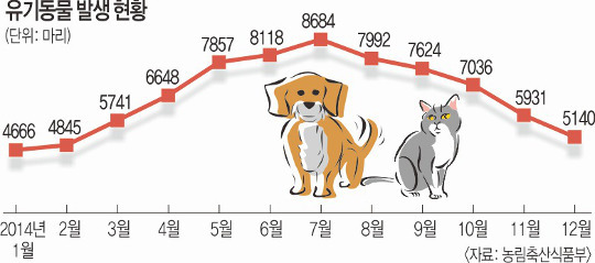 "나이 많거나 병들면…"피서지에 버려지는 반려견 | 인스티즈