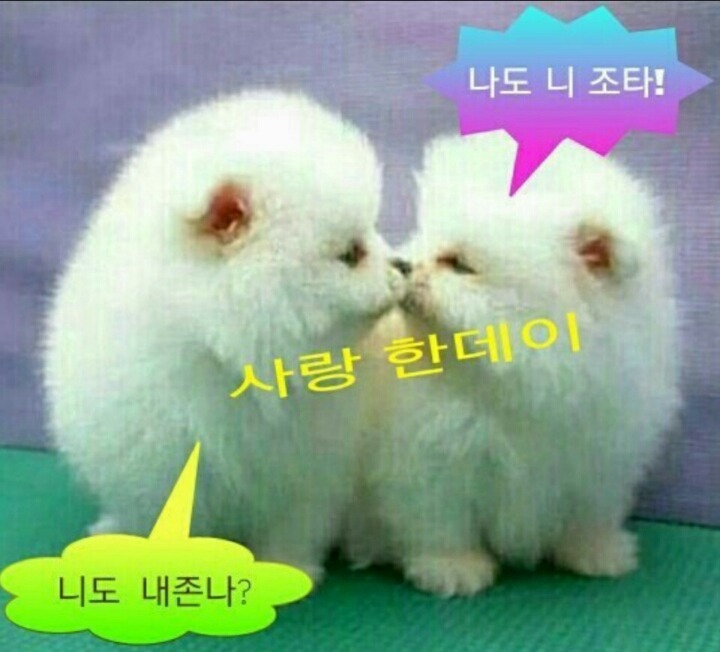 미소 이미지