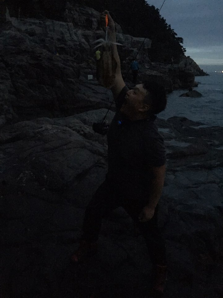 부산오징어 이미지