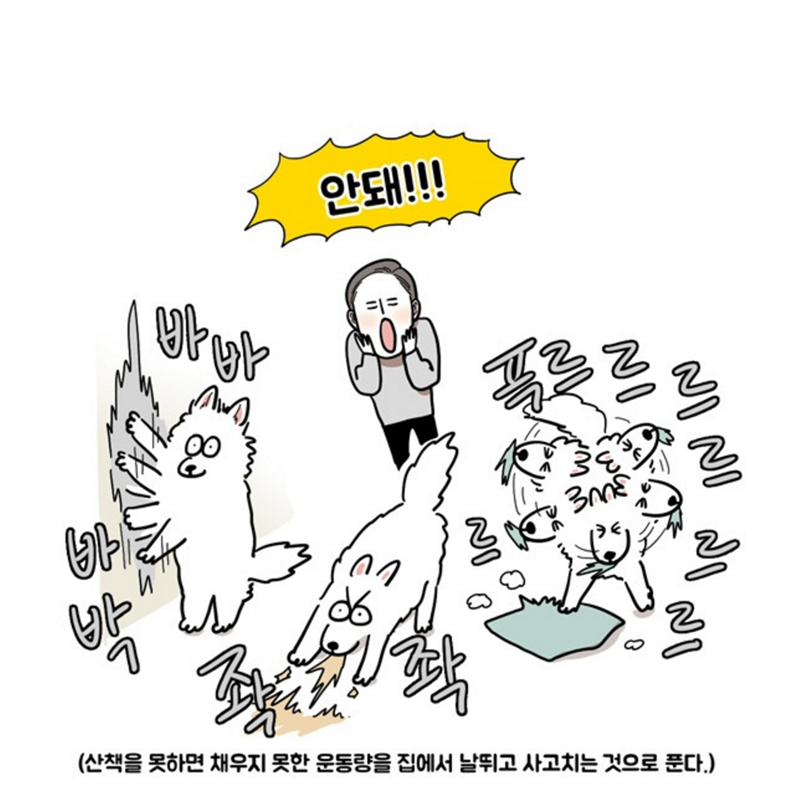 [웹툰] 극한견주 by 마일로 | 인스티즈