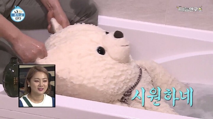 [나혼자산다] 윌슨 씻기는 전현무ㅋㅋㅋㅋㅋㅋㅋㅋㅋㅋㅋㅋ | 인스티즈