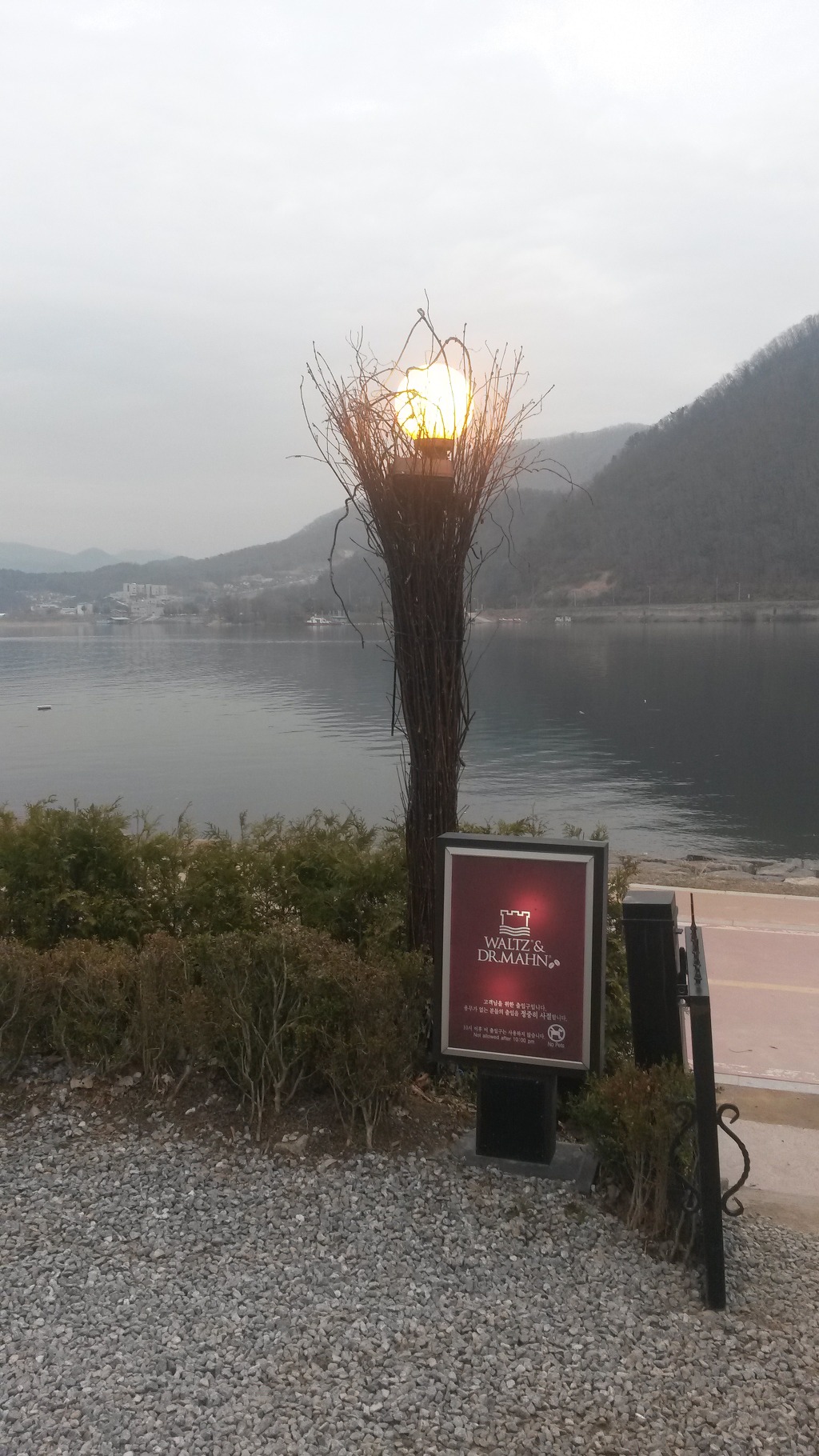 왈츠와닥터만 이미지